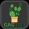 Cactus|Match