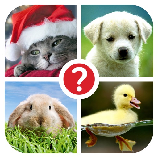 Guess the word ~ 4 Pix riddle /// 4 картинки ~ угадай слово по фото Guess the word ~ 4 Pix riddle /// 4 картинки ~ угадай слово по фото
