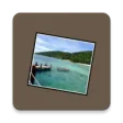 Photo Widget + Photo Widget +