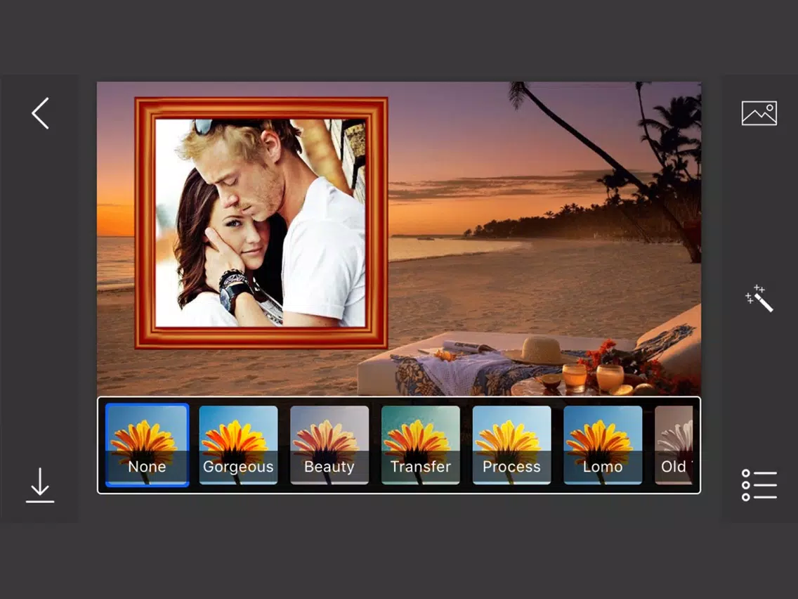 Holiday Photo Frames - make eligant and awesome photo using new photo frames iPad Screenshots