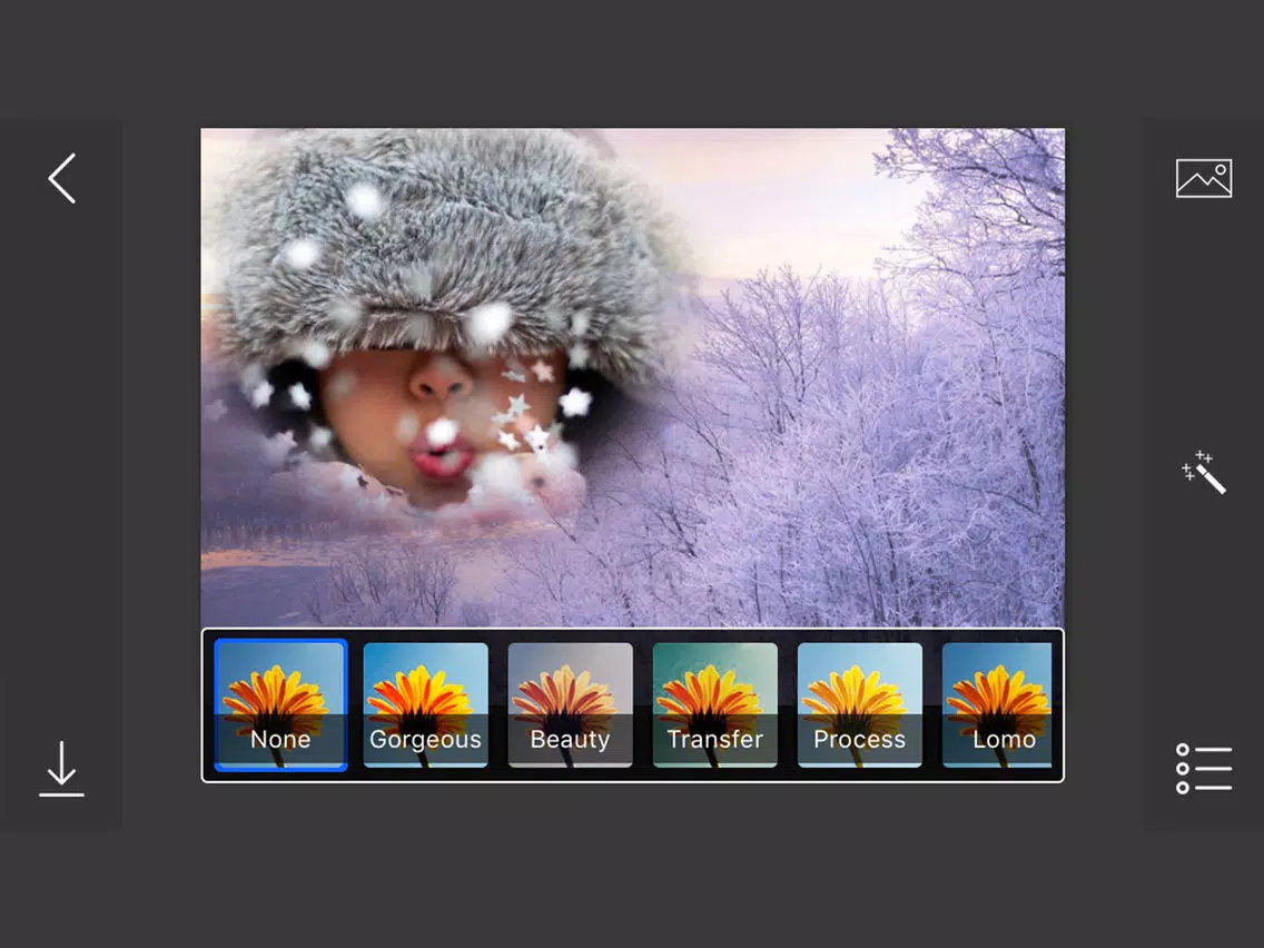 Snowfall Photo Frames - make eligant and awesome photo using new photo frames iPad Screenshots