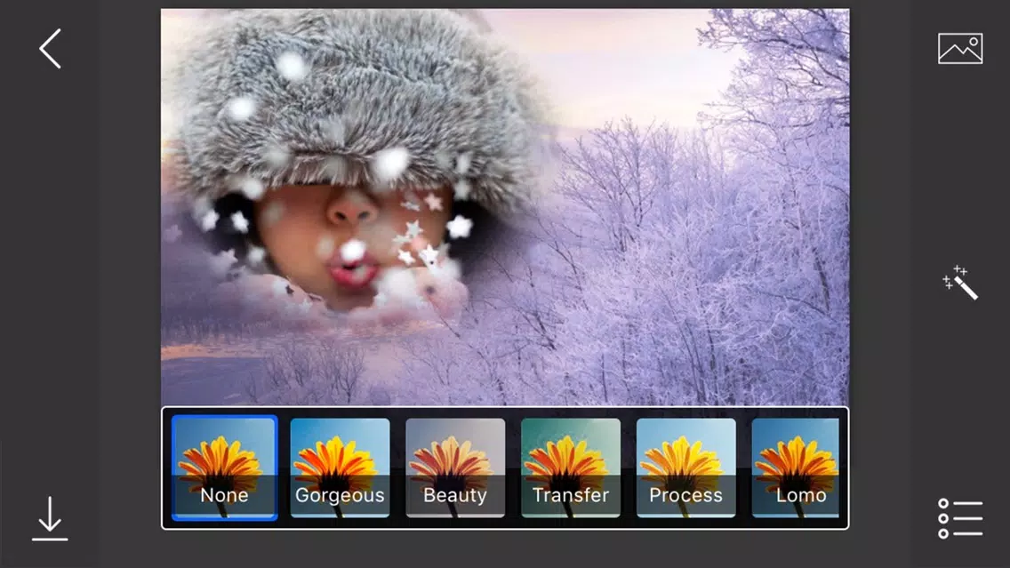 Snowfall Photo Frames - make eligant and awesome photo using new photo frames Screenshots