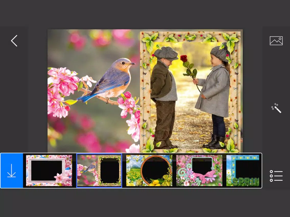 Spring Photo Frames - make eligant and awesome photo using new photo frames iPad Screenshots