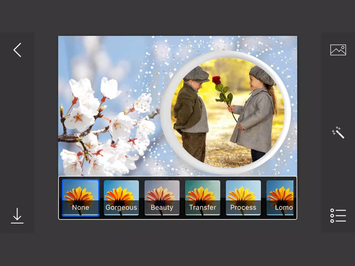 Spring Photo Frames - make eligant and awesome photo using new photo frames iPad Screenshots