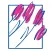 DGI Shop