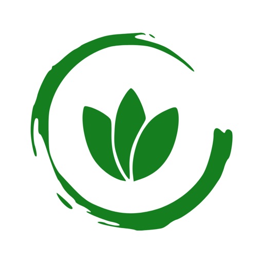Kaizen Executor