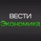 Вести Экономика, приложение для профессионалов