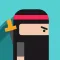Flicky Ninja