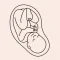 Pregnant AR
