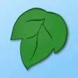 Tree of Life - Family Tree