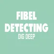 Fibel Metal Detecting