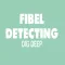 Fibel Metal Detecting