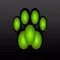 Cat Clicker Training