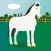100 Things: Horses – Video & Picture Book for Toddlers