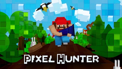 Tangkapan skrin Pixel Hunter