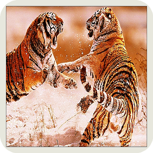 prehistoric animal documentari prehistoric animal documentari