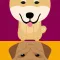 Kindy Dog