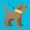 Dog Quiz Game 2019