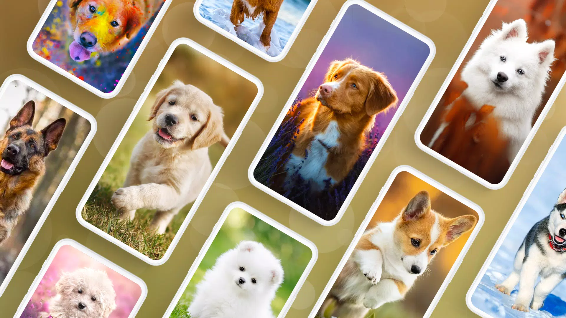 Dog Wallpapers & Puppy 4K Screenshots