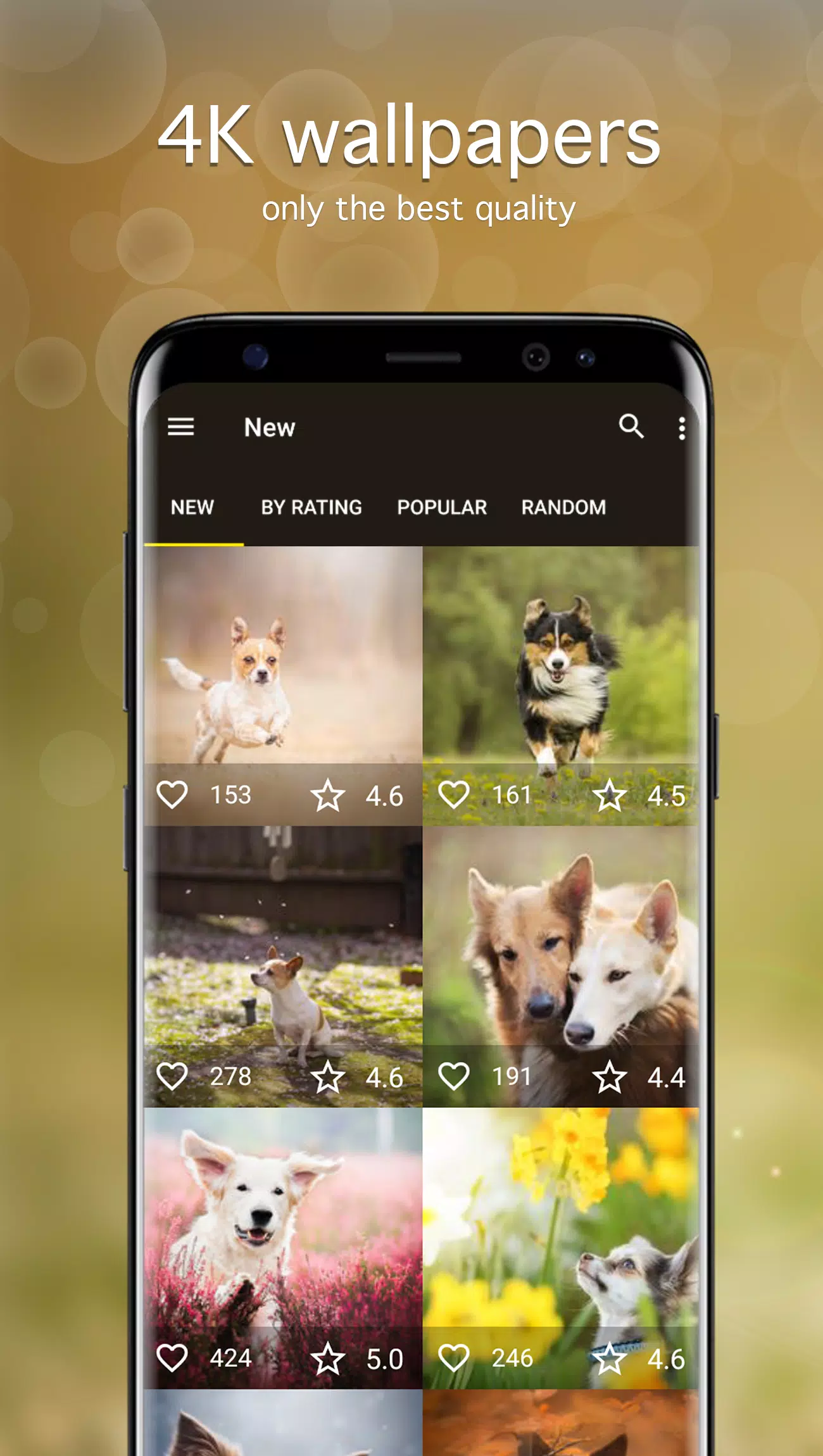 Dog Wallpapers & Puppy 4K Screenshots
