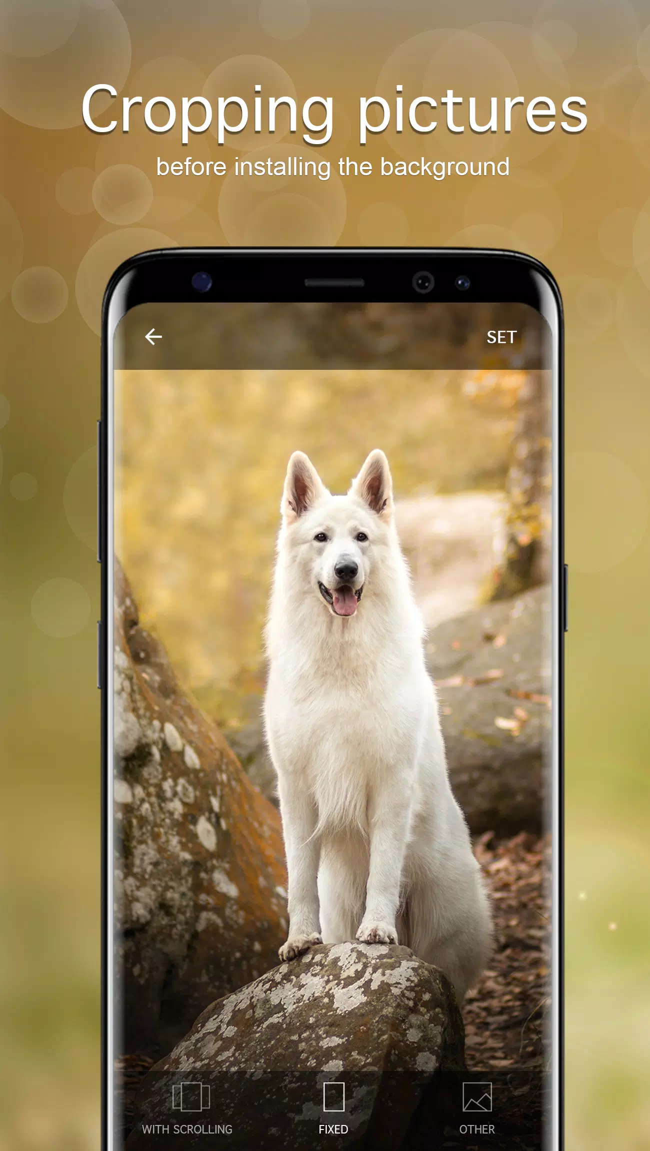 Dog Wallpapers & Puppy 4K Screenshots