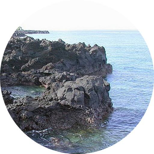 Domoni - Wiki