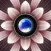 Macroscope 2: Pro Macro Camera