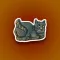 Medieval Cats