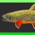 Fresh Catch Stickers