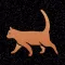 Feral