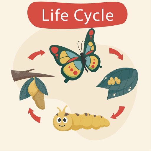 Learn life cycle for toddler Learn life cycle for toddler