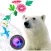 Fun picture editing *d.Photo