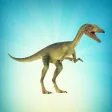 Compsognathus Simulator