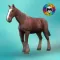 My Horse Simulator