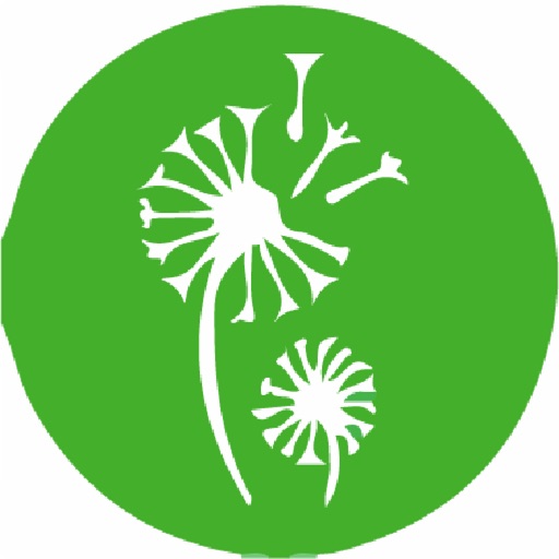 easyApp easyApp