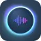 Voice Control for Assistant