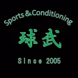 Sports Conditioning Cube