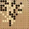 Light GO 13x