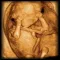 BCM OB Ultrasound