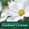 Gardener's Corner