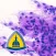 Johns Hopkins Atlas of Surgical Neuropathology