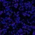 SPEEDSim: Spatial Population Dynamics Simulator
