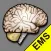 MEND EMS