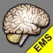 MEND EMS
