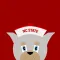 NC State Wolfpack Stickers