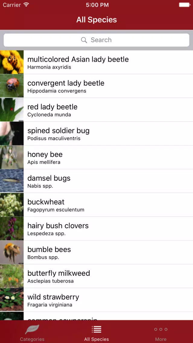 Good Bugs + Screenshots