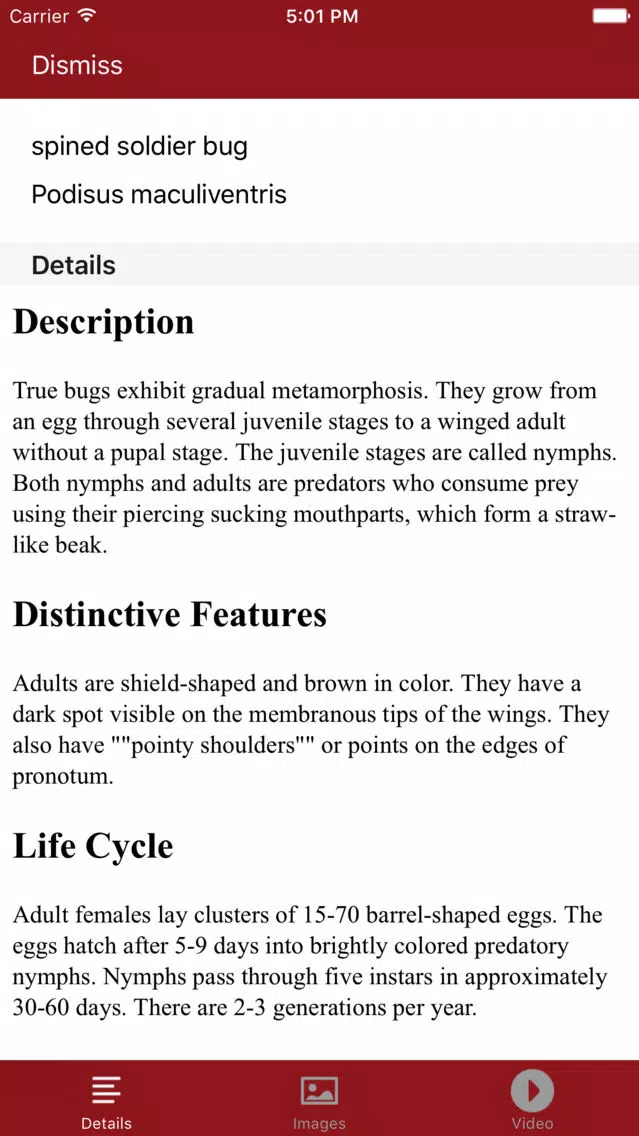 Good Bugs + Screenshots