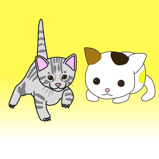 Kitten Cat Moves Coloring Book Kitten Cat Moves Coloring Book