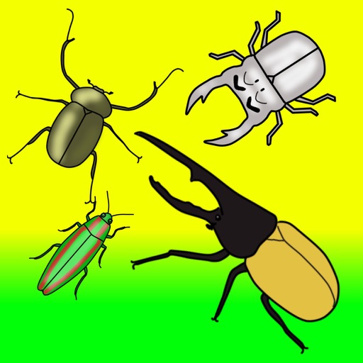 Shinchan's Insect Collecting GO! Shinchan's Insect Collecting GO!