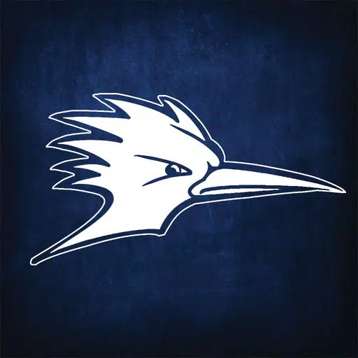 Roadrunner Connect Roadrunner Connect